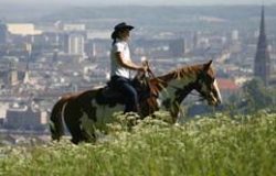 4040 Sunny Hill Ranch