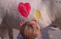 4892 Regina Hoffmann