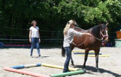 Coaching_aachen-mit-pferd-aachen
