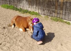 pferde-coaching-hamburg
