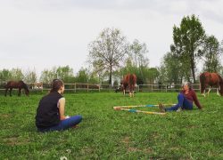 pferdecoaching-italien