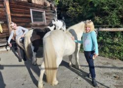 Erlebnis Pony & Pferd