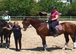 reiten-mallorca