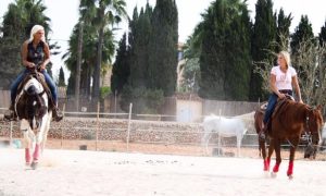 reiten-mallorca