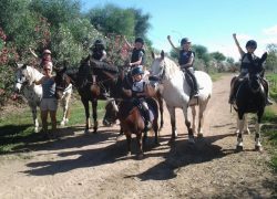 reiten-mallorca