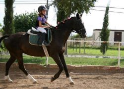 reiten-mallorca