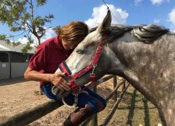 reiten-mallorca