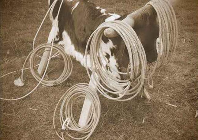 RANCH ROPING – Level I
